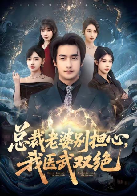 总裁老婆别担心,我医武双绝